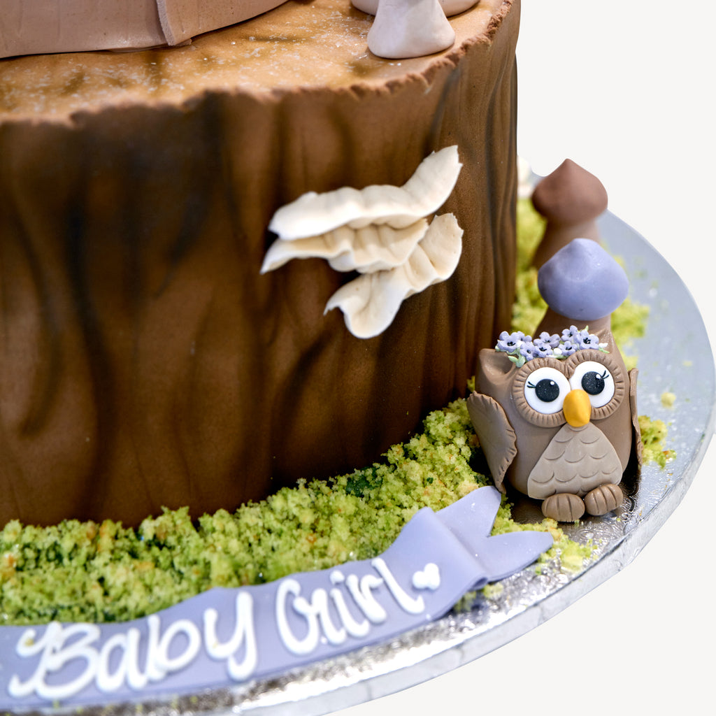 Online Cake Order - Fairy Tale Book #283Baby – Michael Angelo's
