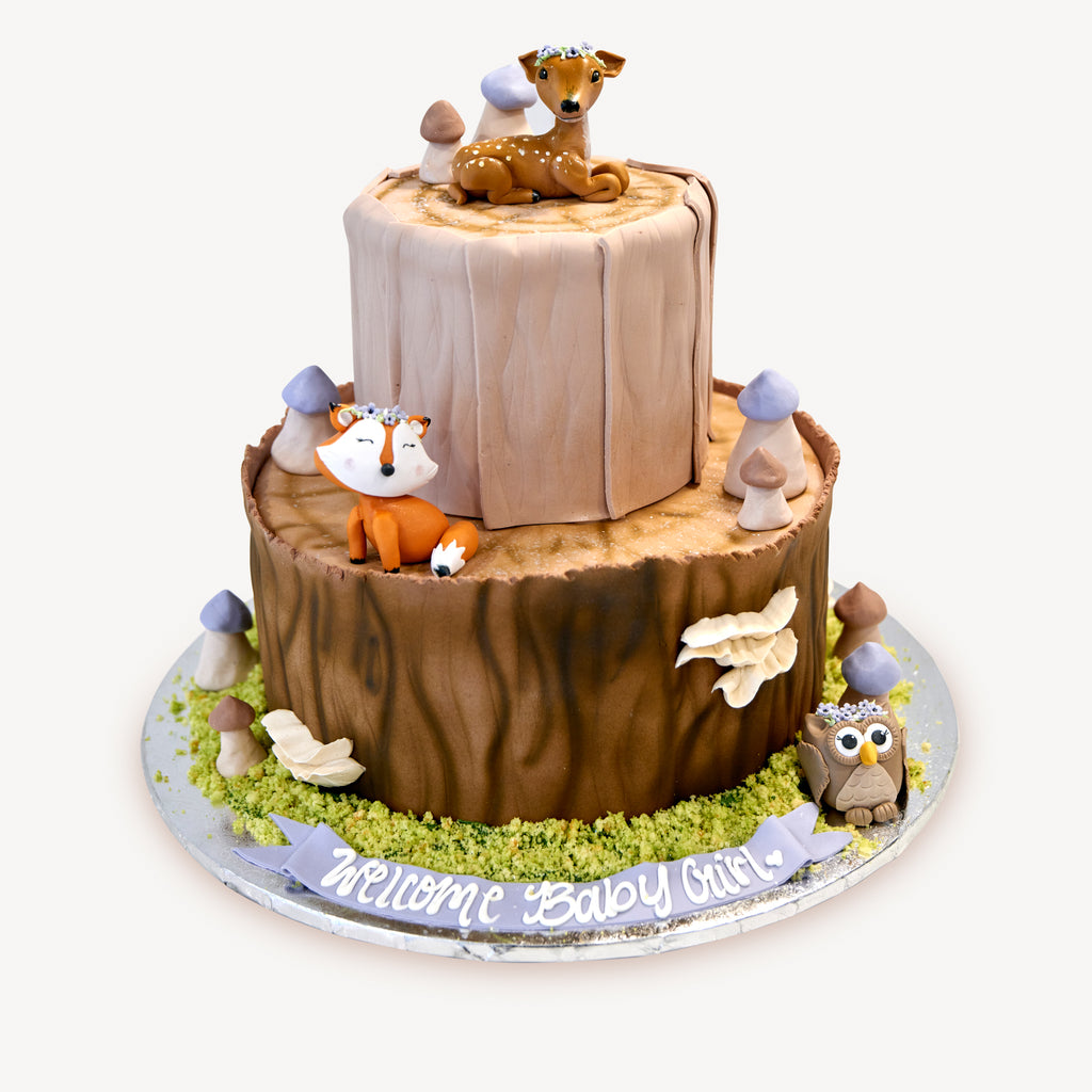 Online Cake Order - Fairy Tale Book #283Baby – Michael Angelo's